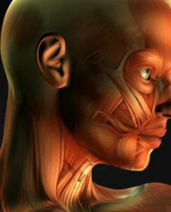 Featured image for 15 Strange but True Facts About Humans That Will Blow Your Mind 2025