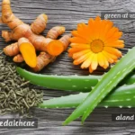 Featured image for 12 Botanical Extracts That Prevent Skin Tumors Naturally 2025