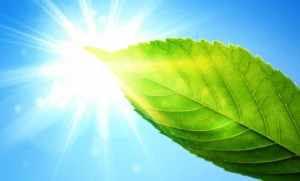 Featured image for 10 Surprising Sun Exposure Vitamin D Benefits You Need 2025