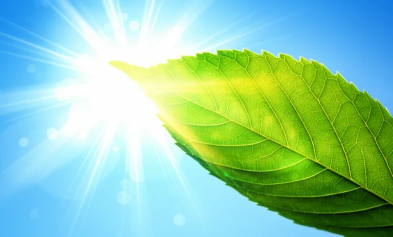 Featured image for 10 Surprising Sun Exposure Vitamin D Benefits You Need 2025