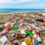 Featured image for 20 Eye-Opening Disadvantages of Going to the Beach in 2026