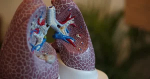 Featured image for 12 Shocking Health Facts About Air Quality You Must Know 2026