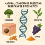 Featured image for 15 Natural Compounds That Rewire Skin Cancer Epigenetics 2026