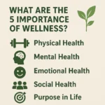 Featured image for What Are the 5 Importance of Wellness